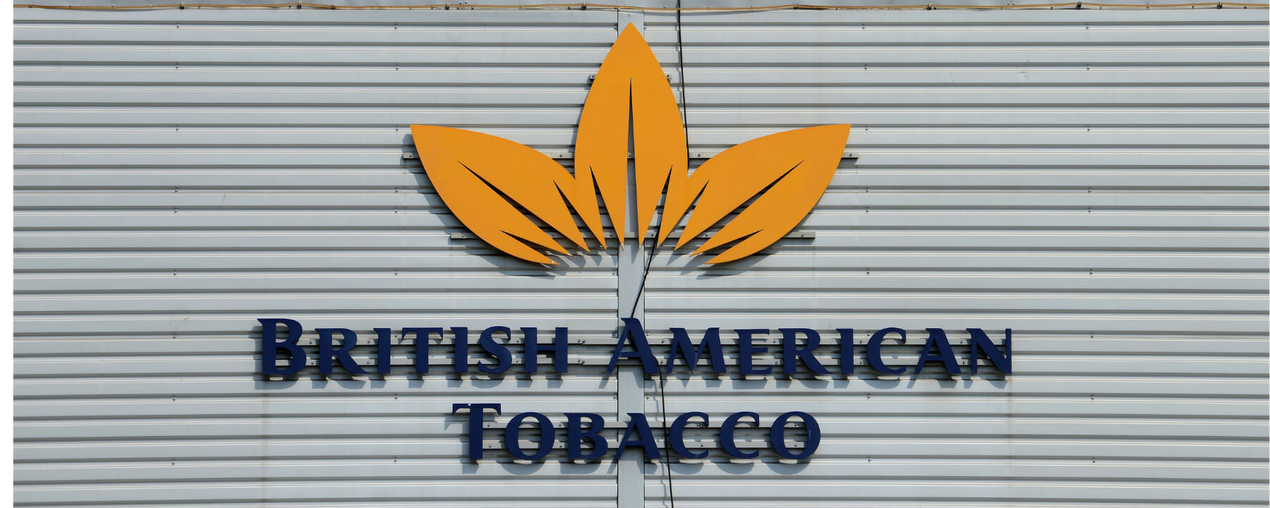 British American Tobacco Operative Fortschritte, Boden erreicht?
